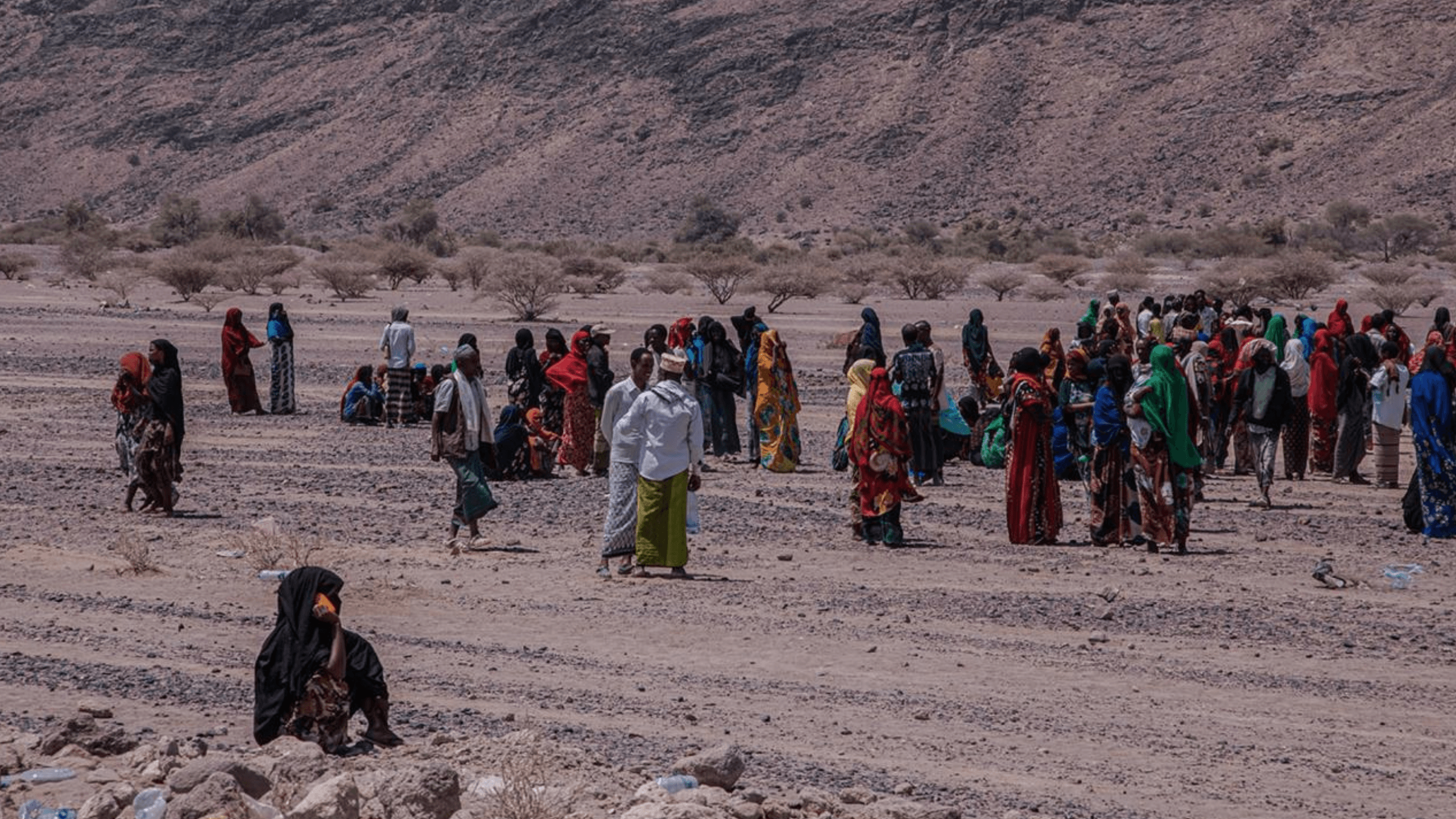 Gali Koma : un rapport de l’EHRC attribue aux forces tigréennes la mort de 107 civils